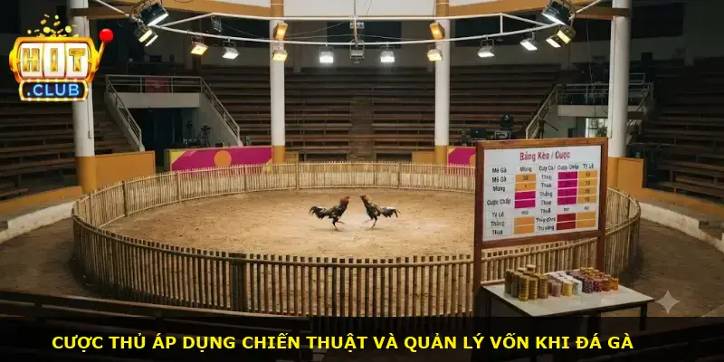 Đá gà cựa sắt Hitclub - ảnh 3