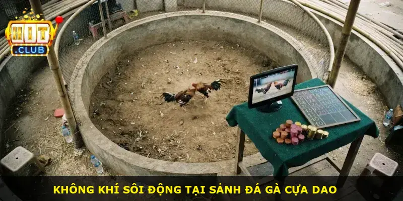 Đá Gà Cựa Dao Hitclub - ảnh 1