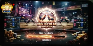 Trực Tiếp Đá Gà Thomo Hitclub trải nghiệm hấp dẫn, cập nhật liên tục