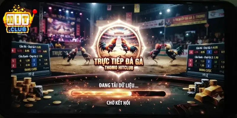Trực Tiếp Đá Gà Thomo Hitclub trải nghiệm hấp dẫn, cập nhật liên tục