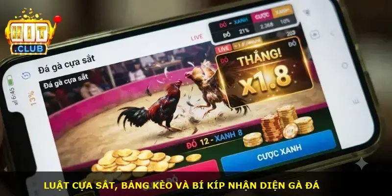 Đá gà cựa sắt Hitclub - ảnh 2