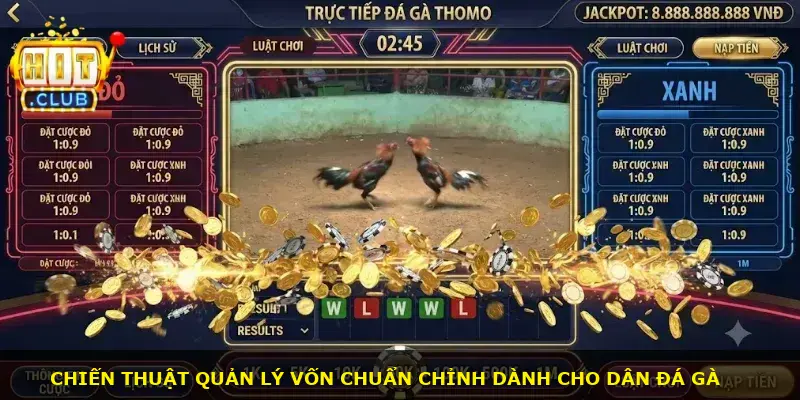 Trực Tiếp Đá Gà Thomo Hitclub - ảnh 2