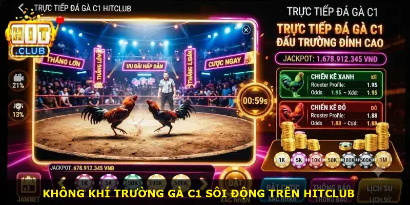 Trực Tiếp Đá Gà C1 Hitclub - ảnh 1