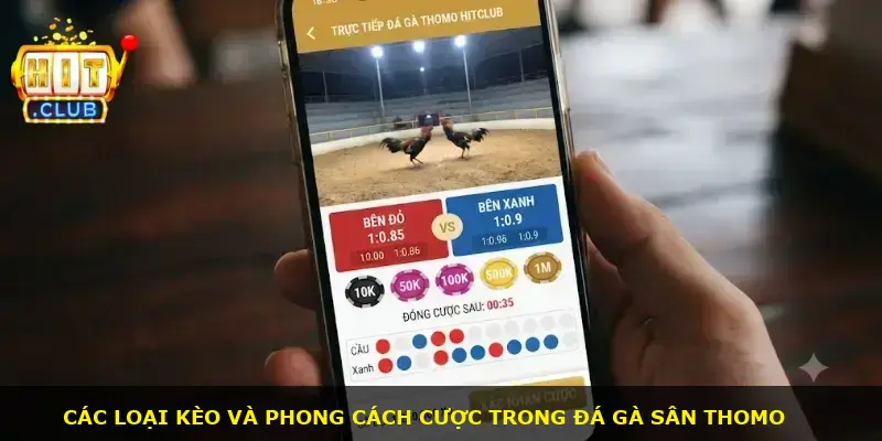 Trực Tiếp Đá Gà Thomo Hitclub - ảnh 1