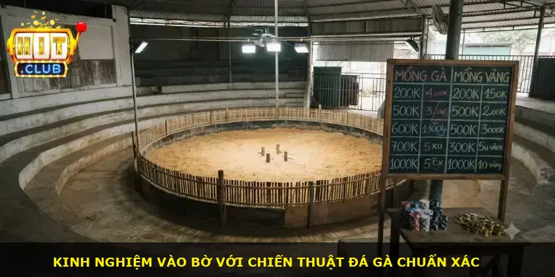 Đá Gà Cựa Dao Hitclub - ảnh 3