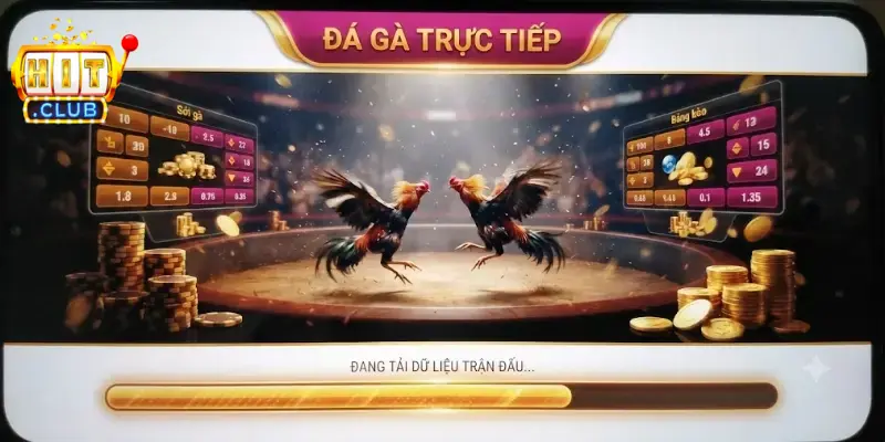 Đá Gà Cựa Dao Hitclub hấp dẫn, trận đấu mãn nhãn cho người chơi yêu thích
